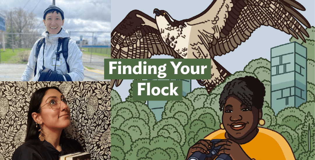 Finding Your Flock BirdNote